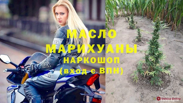 молекула духа Волоколамск